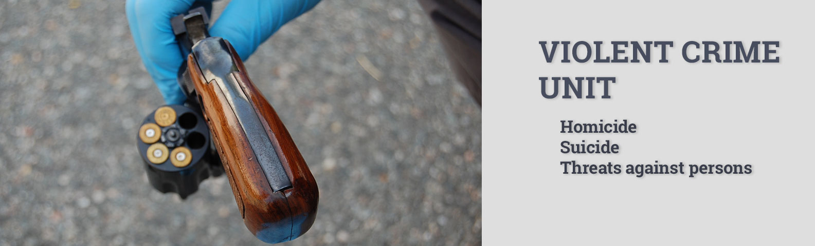 Unidad de Delitos Violentos
