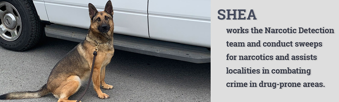 Shea - Equipo de detección de narcóticos