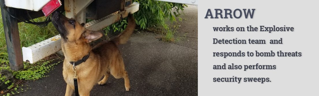 Arrow trabaja en el equipo de detección de explosivos y responde a las amenazas de bomba y también realiza barridos de seguridad.